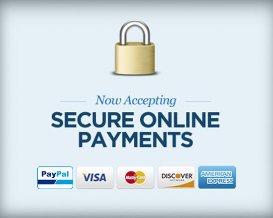 Accepting Secure Online Payments Banner