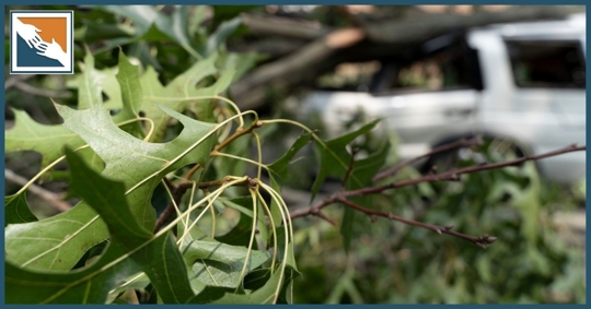 Truck crash knocking branches down